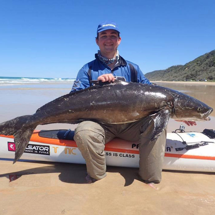 Cobia on the Chew