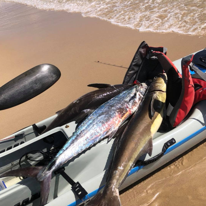 Noosa Challenge Postponement