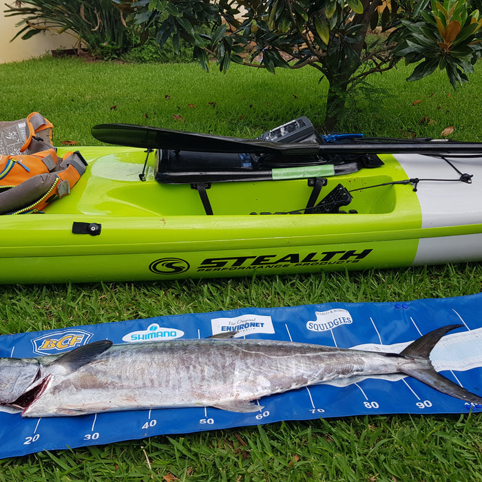 Tribe Comp Submission Brad White Trip Report