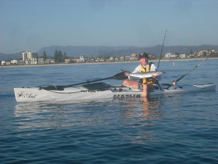 Ant's Mackerel Rig