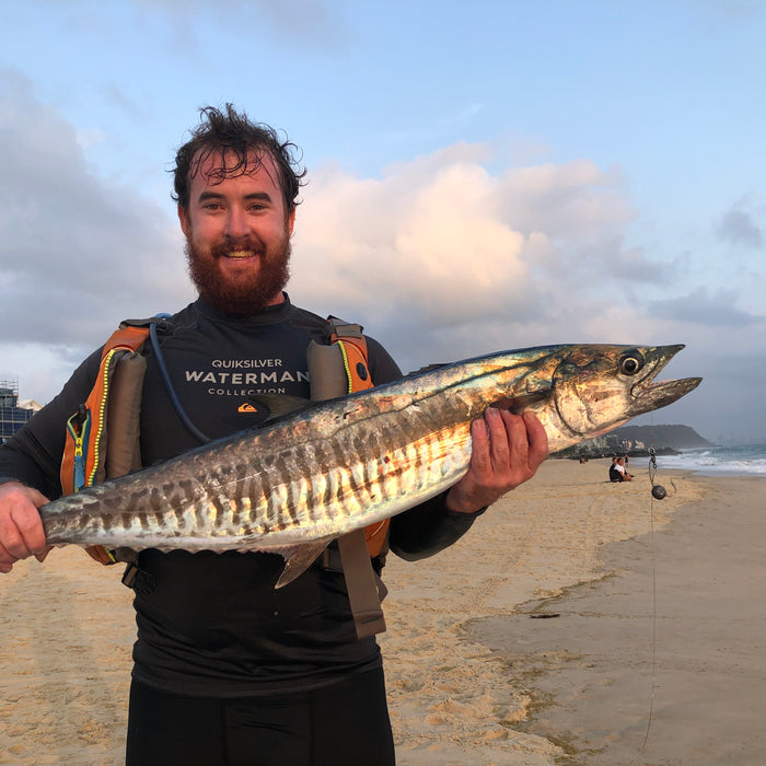 Palm Beach Blitz Report