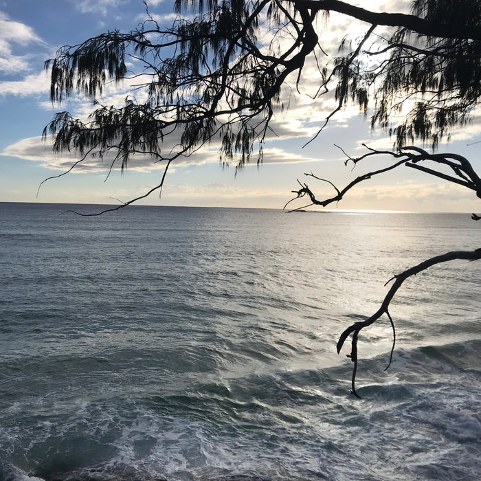 Adder Rock Social Report
