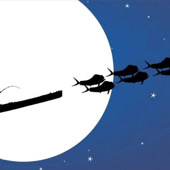 AKS Christmas Trading Hours