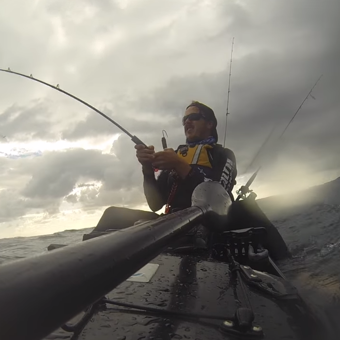 Fighting Big Pelagics on Kayaks- Part Two