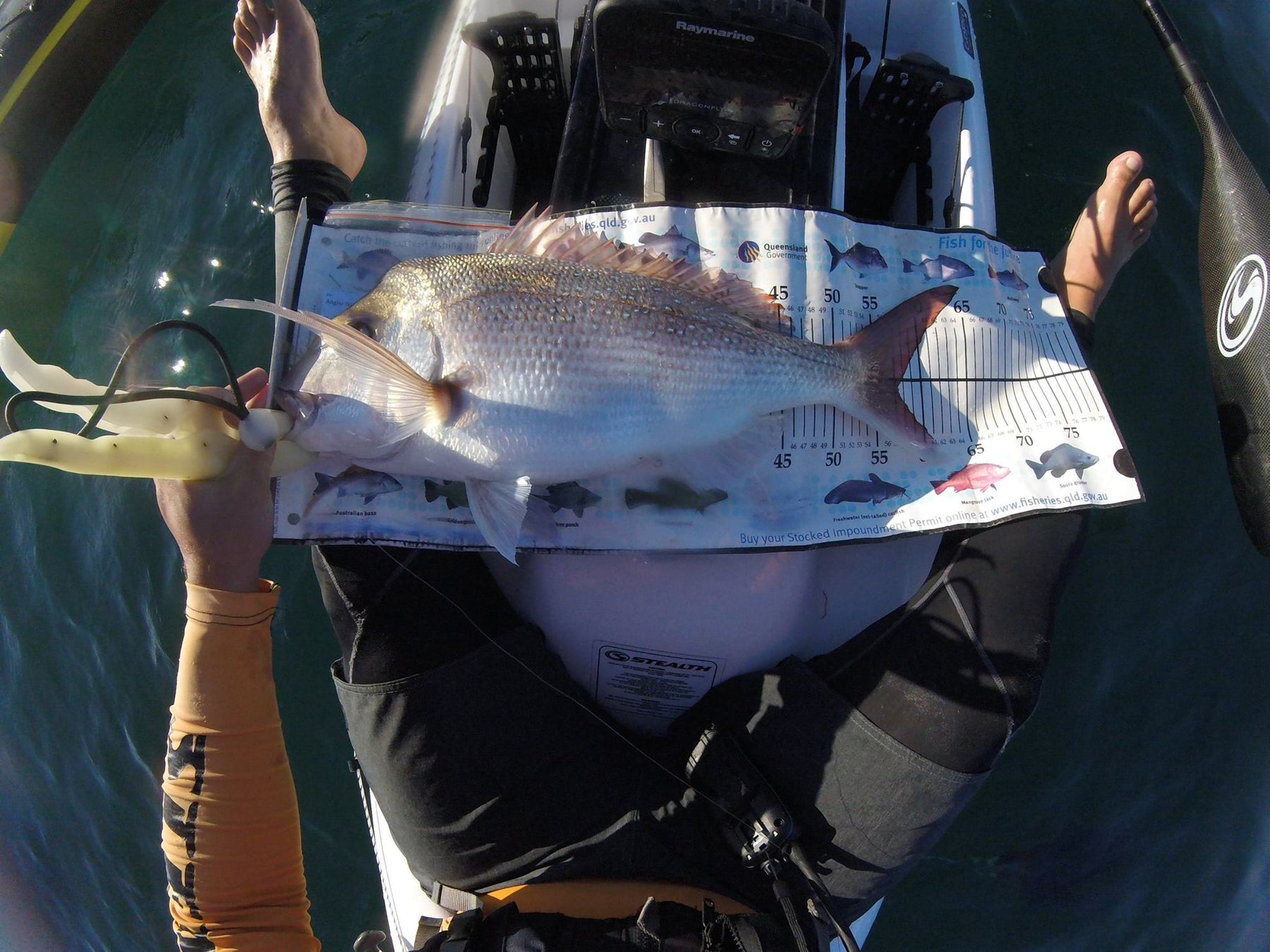 Dave Irvine Memorial Snapper Classic