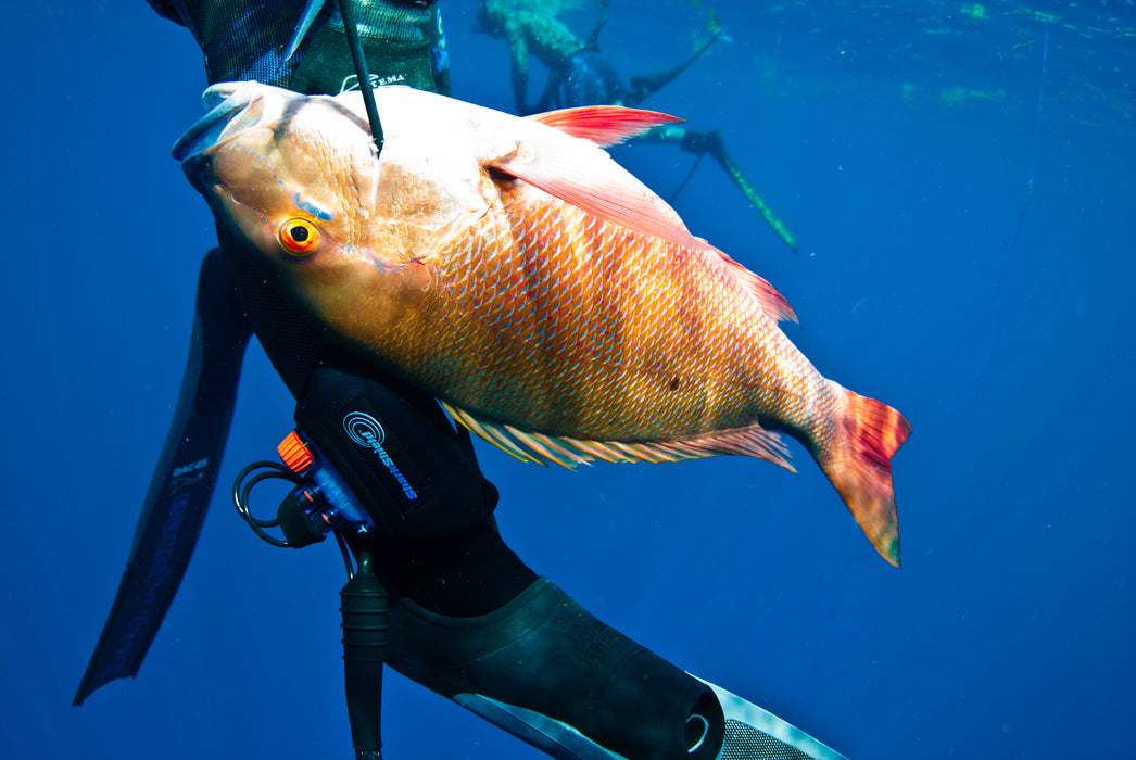 Ocean Guardian FREEDOM7, Powered by Shark Shield Technology